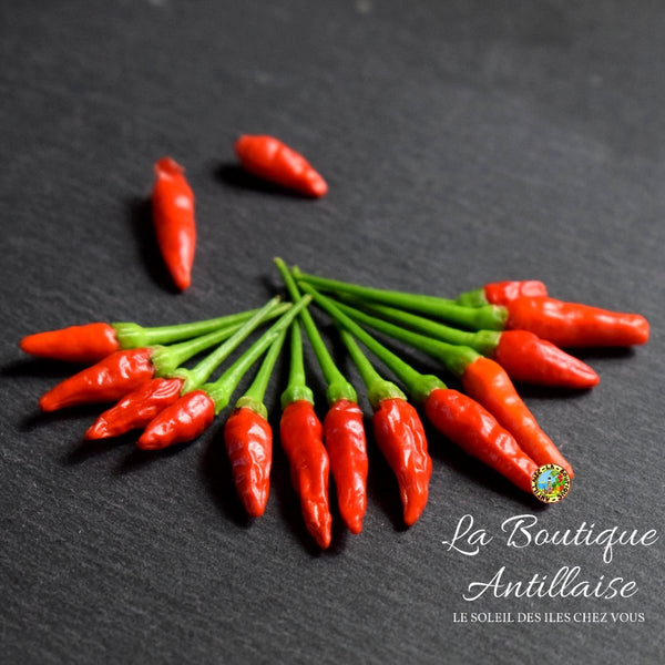 GRAINES PIMENT OISEAU - La Boutique Antillaise