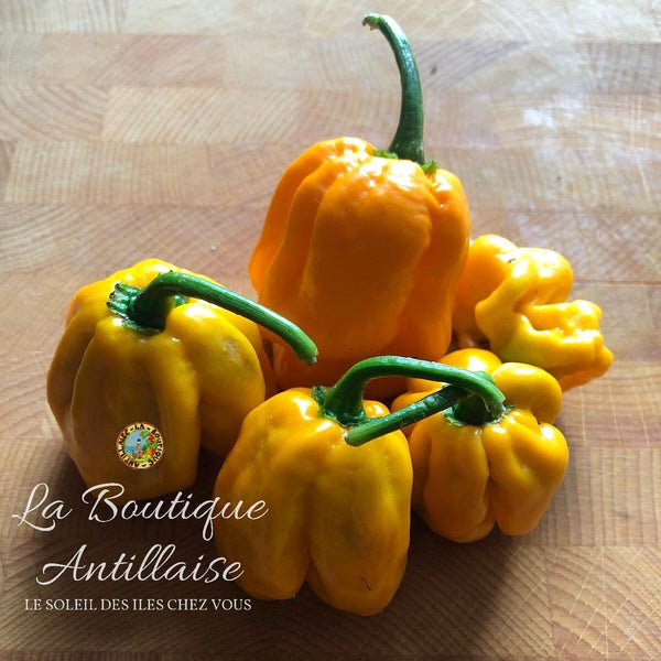 Graines piment Habanero jaune