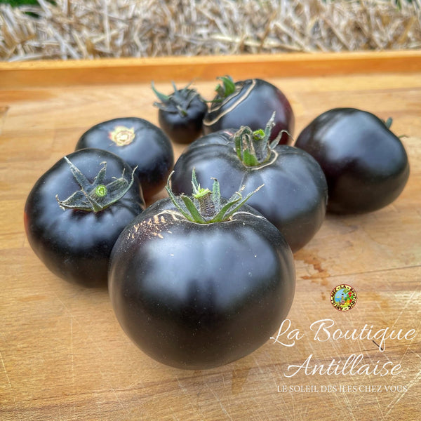 Tomate Black Beauty plant - La Boutique Antillaise