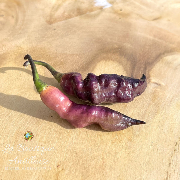 Piment Pink Tiger jeune plant - La Boutique Antillaise