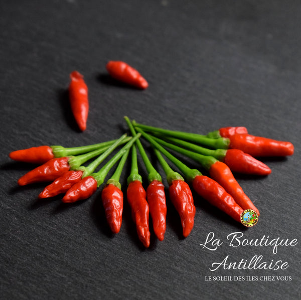 PIMENT OISEAU JEUNE PLANT - La Boutique Antillaise