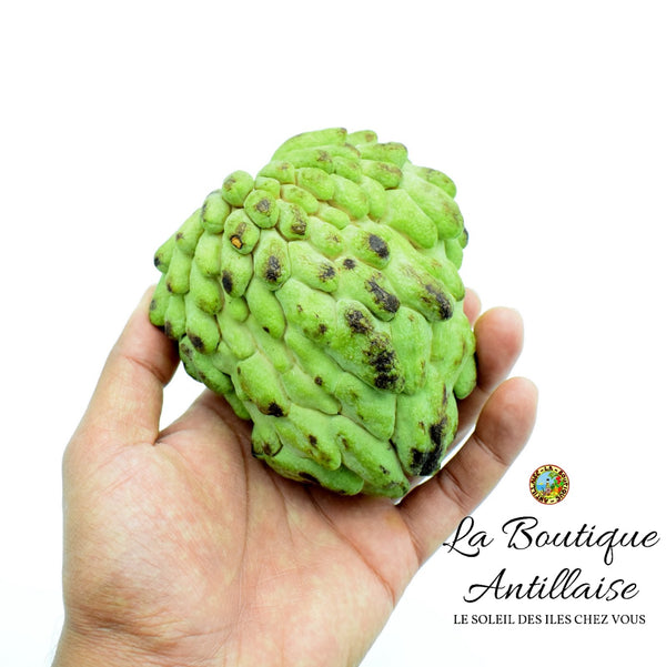 POMME CANNELLE - ATTIER - PLANT - La Boutique Antillaise