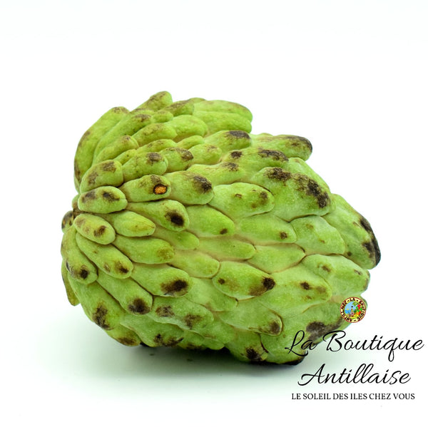 POMME CANNELLE - ATTIER - PLANT - La Boutique Antillaise