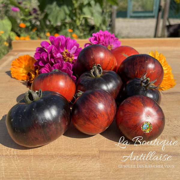 Tomate Red Beauty Plant - La Boutique Antillaise